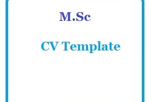 M.Sc CV Template
