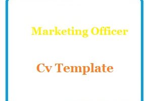 Marketing Officer Cv Template