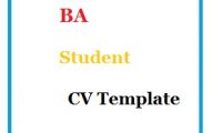 BA Student CV Template