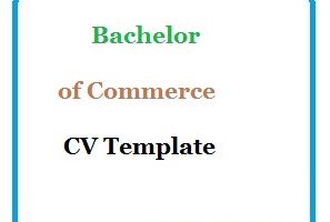 Bachelor of Commerce CV Template