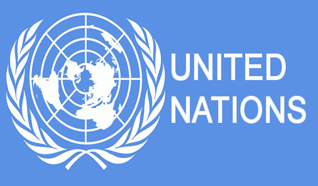 UN Pakistan Logo