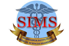 Shahdadpur Institute Of Medical Sciences Tenders