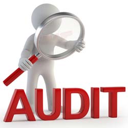 Assistant Manager Internal Audit jobs in Pakistan