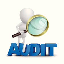 Director Audit jobs in Pakistan