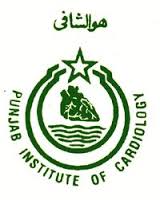 Punjab Institute Of Cardiology Jobs
