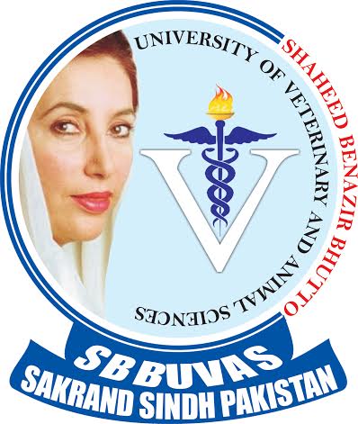 Shaheed Benazir Bhutto University Jobs