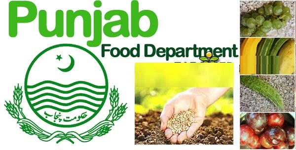 Punjab Food Authority Tenders