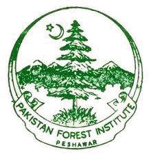 Forest Division Jobs