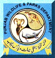 Punjab Wildlife & Parks Department Jobs