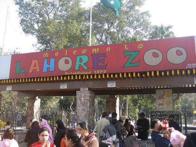 Lahore Zoo Tenders
