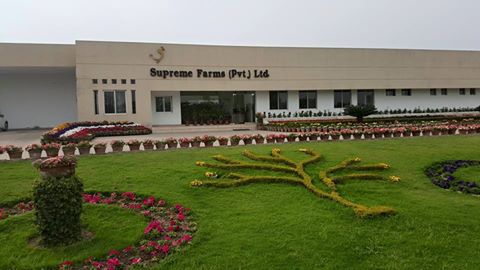 Supreme Farms Private Limited Jobs
