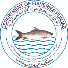 Fisheries Department Tenders