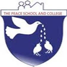 The Peace Group Of Schools & Colleges Jobs