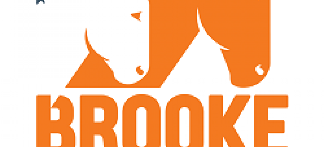 Brooke Hospital For Animals Reviews