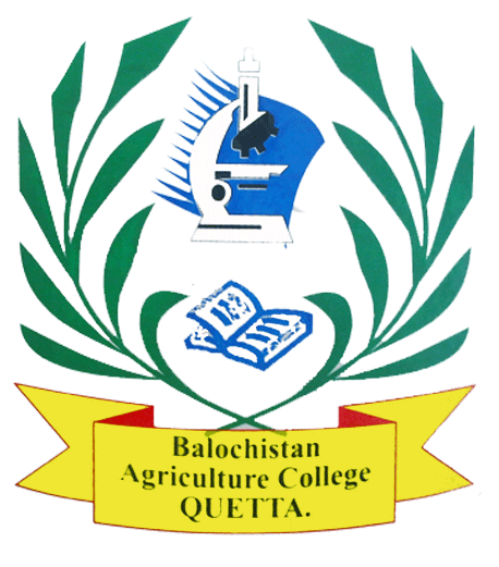 Balochistan Agriculture College Jobs