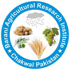 Barani Agricultural Research Institute Tenders