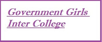 Government Girls Inter College  Tenders