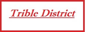 Trible District Jobs