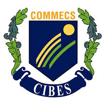 Commecs Institute of Business and Emerging Sciences Jobs