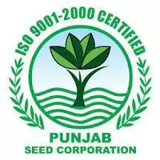 Punjab Seed Corporation Tenders