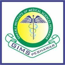 Ghazali Institute Of Medical Sciences Jobs