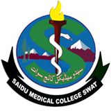 Saidu Teaching Hospital Jobs