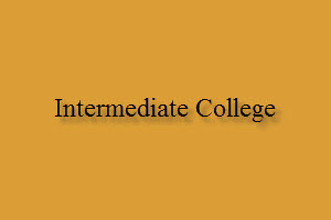 Intermediate College Jobs