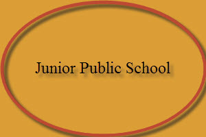 Junior Public School Tenders