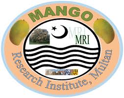 Mango Research Institute Tenders