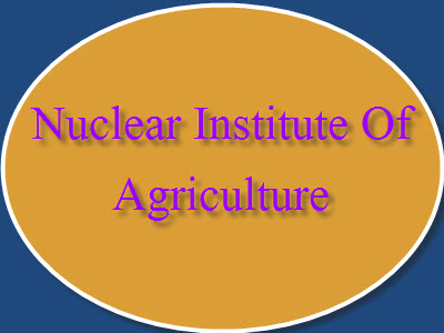 Nuclear Institute Of Agriculture Jobs