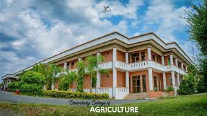 College Of Agriculture Tenders