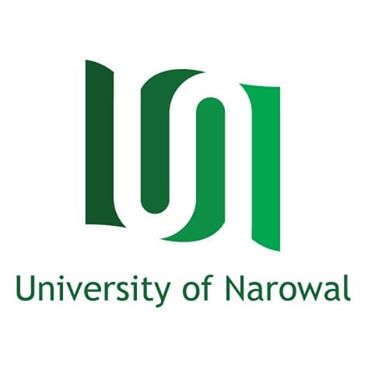 University Of Narowal Jobs