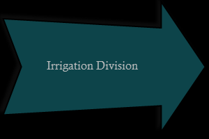 Irrigation Division  Tenders