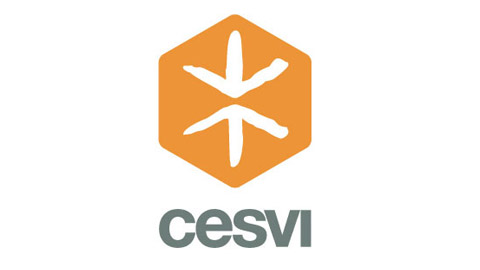 Cesvi Tenders