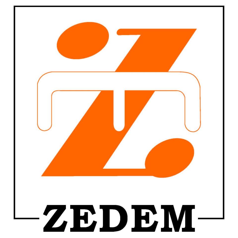 Zedem International Private Limited Jobs