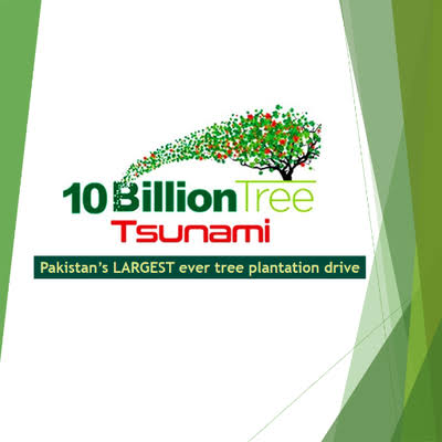 Ten Billion Tree Tsunami Programme Reviews
