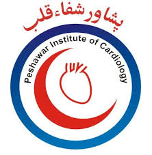 Peshawar Institute Of Cardiology Tenders
