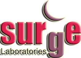 Surge Laboratories Private Limited Jobs