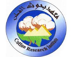 Cotton Research Institute Tenders