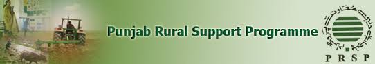 Punjab Rural Support Programme Jobs