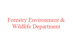 Forestry Environment & Wildlife Department Jobs