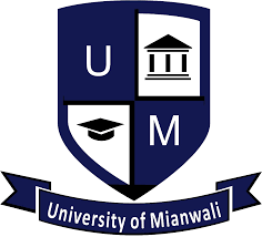 University Of Mianwali Jobs