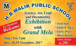 Hb Malik Public School Jobs