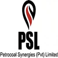 Petrocoal Synergies Pvt Limited Jobs