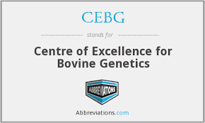 Centre Of Excellence For Bovine Genetics Jobs