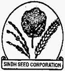 Sindh Seed Corporation Jobs